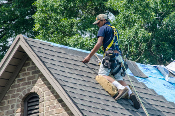 Best Gutter Installation and Roofing  in Falls City, NE